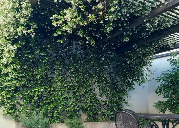 Appartement Open Space Centro